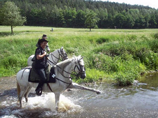 Germany-Thuringia-Trails in Thuringia on Andalusians